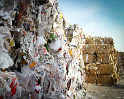 waste-management.jpg